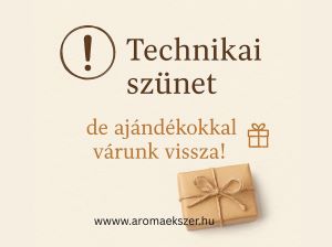 Technikai szünet
